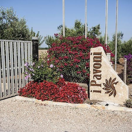 דירות מונטאלטו די קסטרו Agrimare I Pavoni מראה חיצוני תמונה