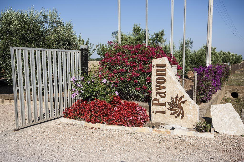 דירות מונטאלטו די קסטרו Agrimare I Pavoni מראה חיצוני תמונה